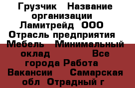 Грузчик › Название организации ­ Ламитрейд, ООО › Отрасль предприятия ­ Мебель › Минимальный оклад ­ 30 000 - Все города Работа » Вакансии   . Самарская обл.,Отрадный г.